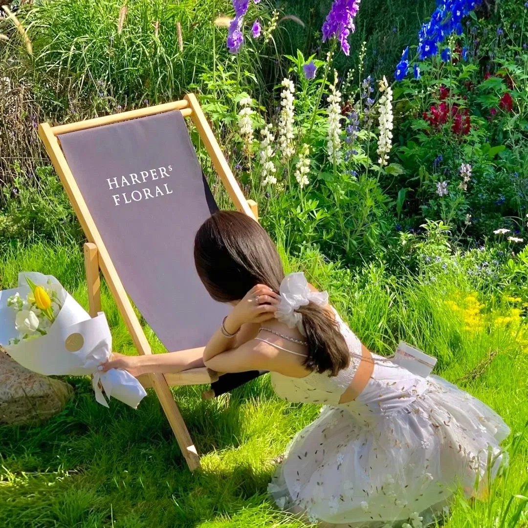 公主大人,接下来是“拷问”时间